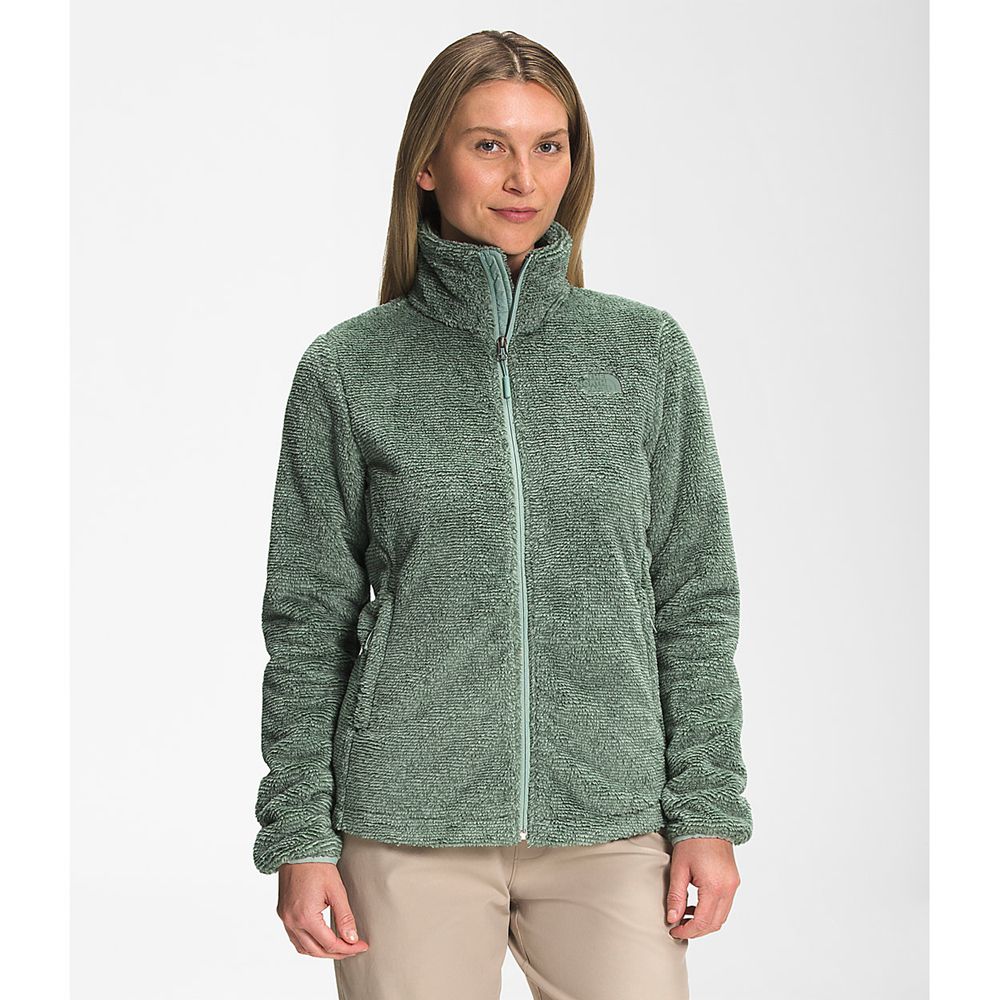 The North Face Fleece Jacket Womens Australia - The North Face Printed Multi-Color Osito Green (EUM-